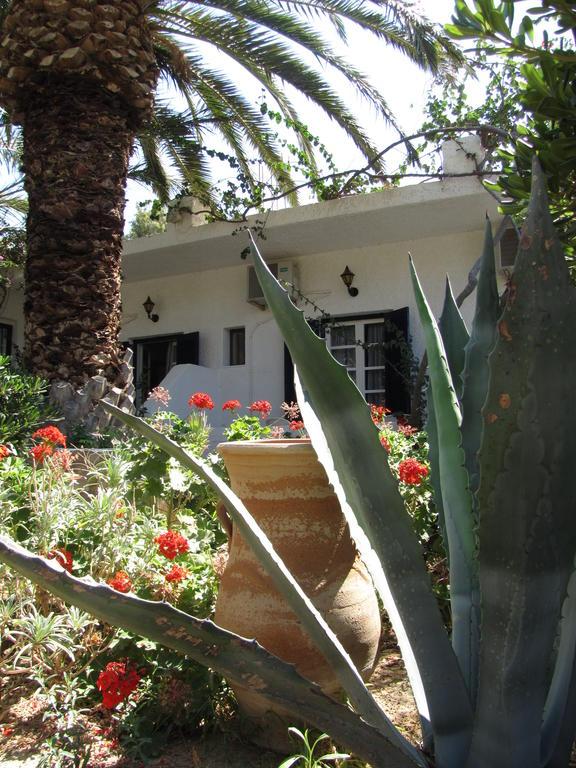 Eden Ios Rooms Mylopotas Extérieur photo