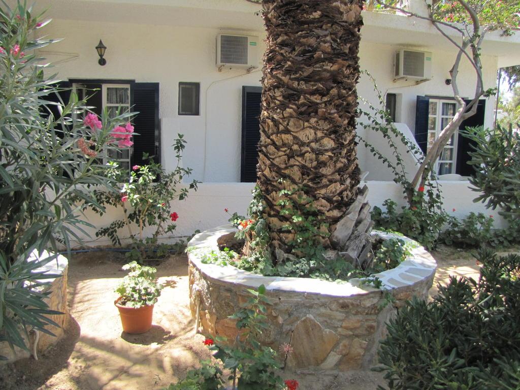 Eden Ios Rooms Mylopotas Extérieur photo
