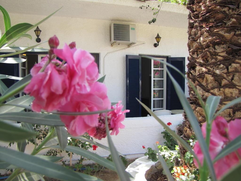 Eden Ios Rooms Mylopotas Extérieur photo